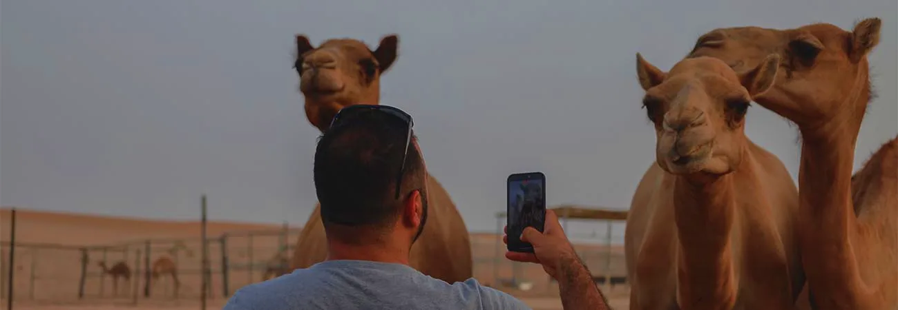 Abu Dhabi Desert Safari – Standard