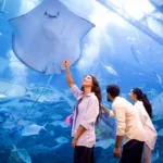 Dubai Aquarium and Underwater Zoo