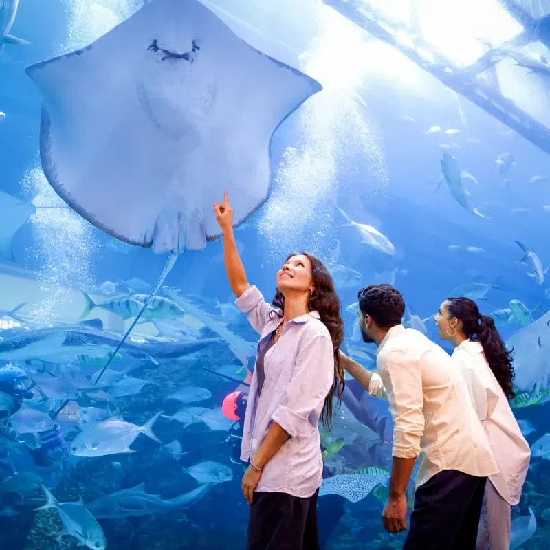 Dubai Aquarium and Underwater Zoo