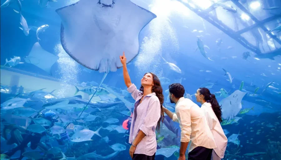 Dubai Aquarium and Underwater Zoo