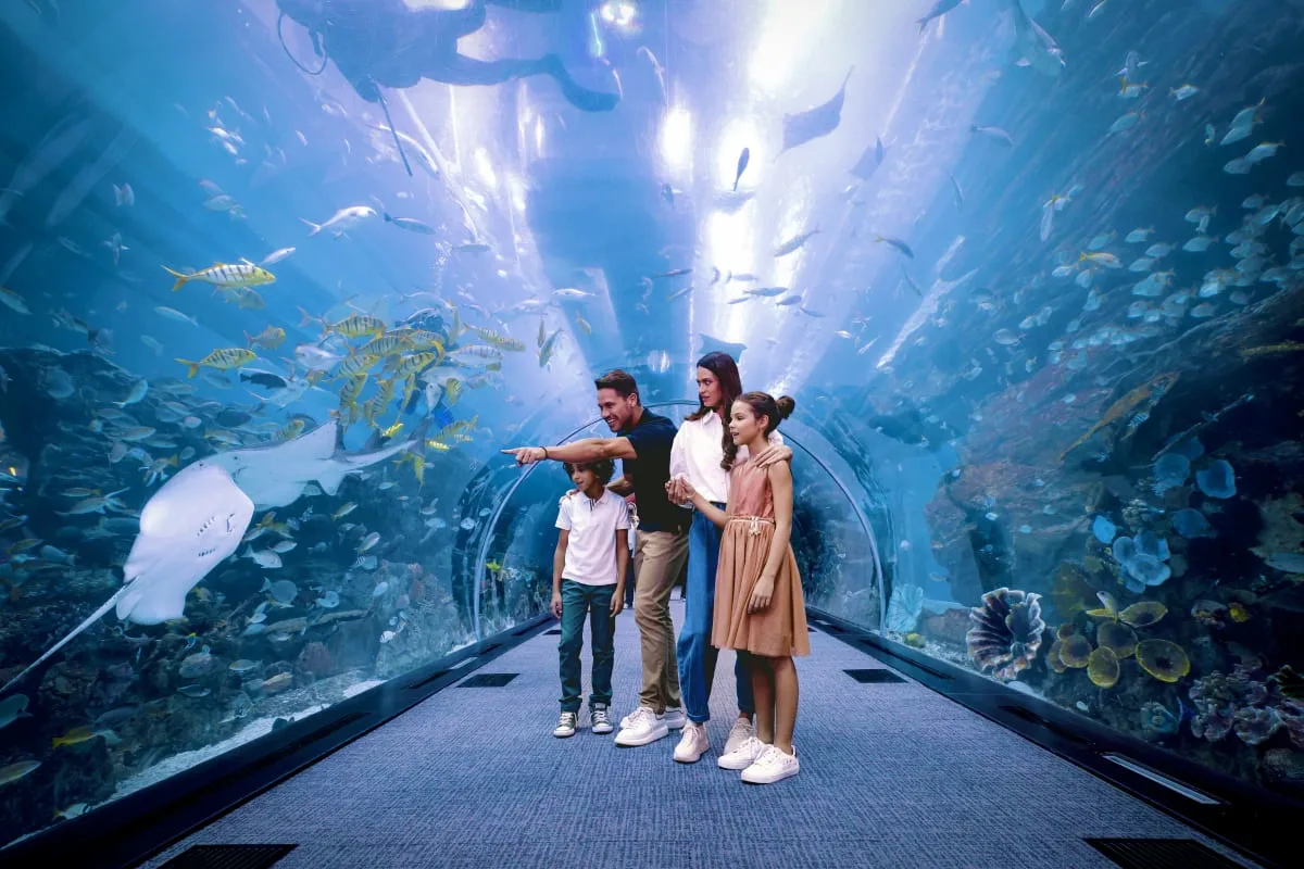 Dubai Aquarium and Underwater Zoo