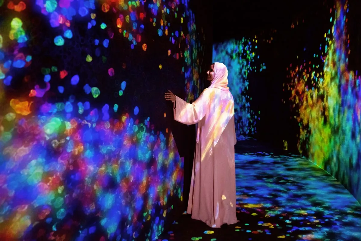 TeamLab Phenomena