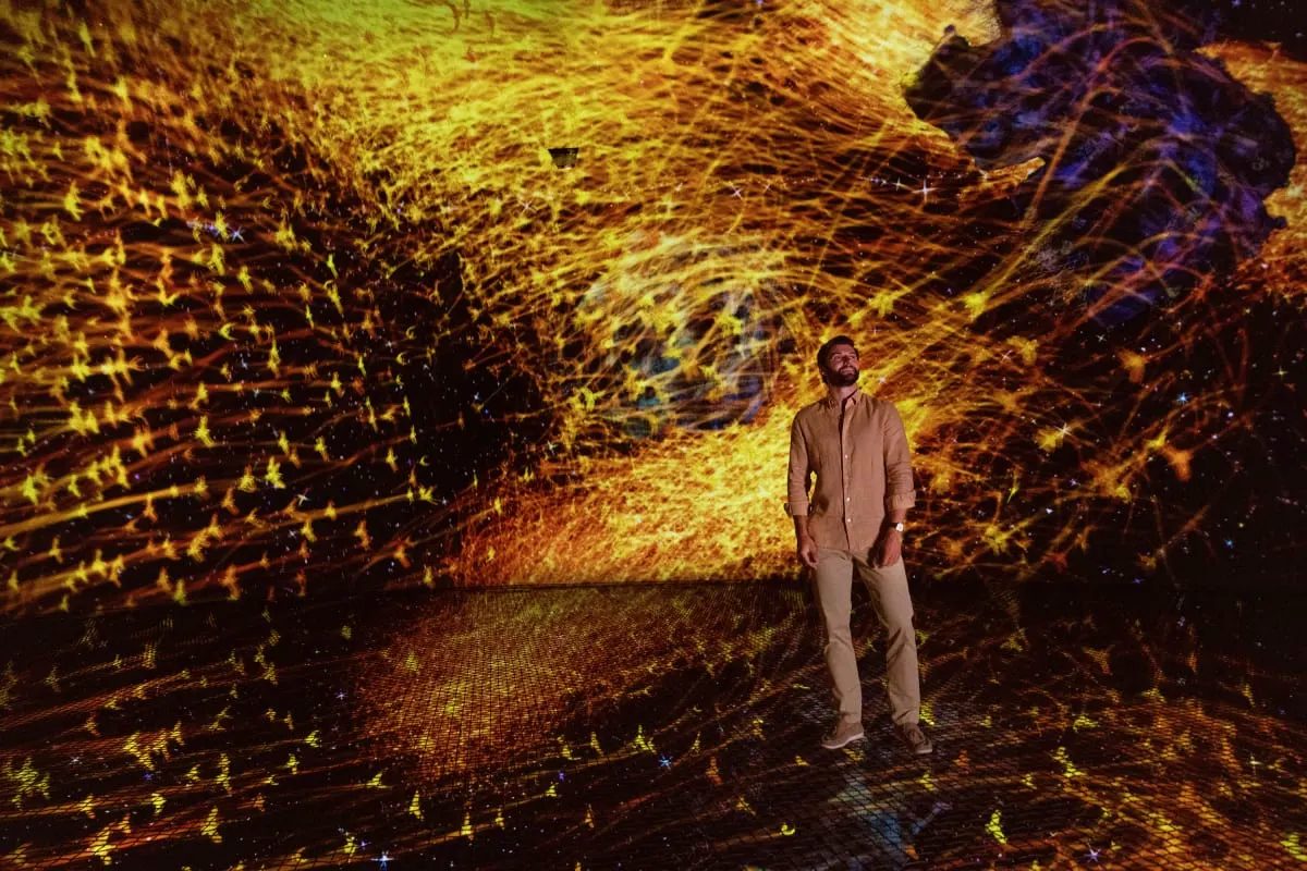 TeamLab Phenomena