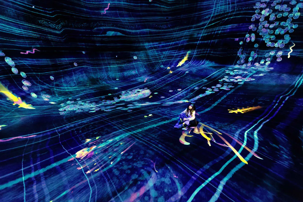 TeamLab Phenomena