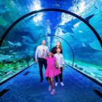 The National Aquarium Abu Dhabi