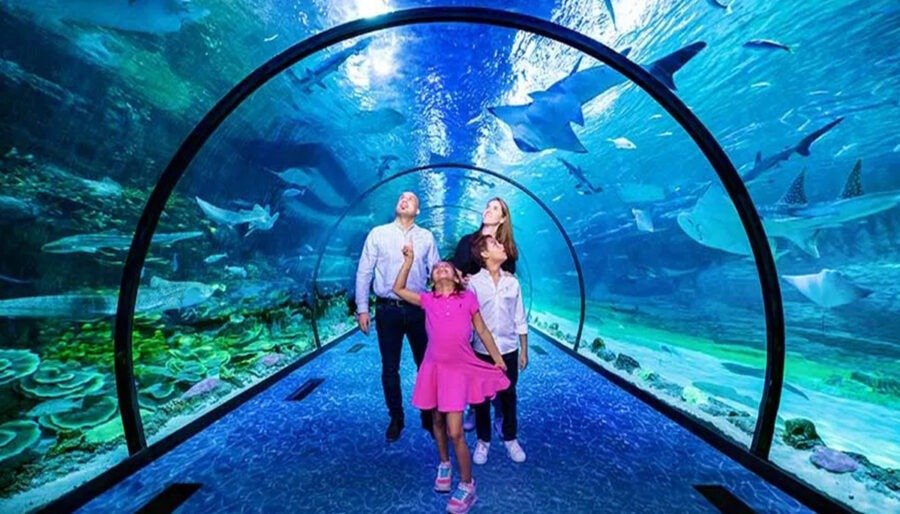 The National Aquarium Abu Dhabi