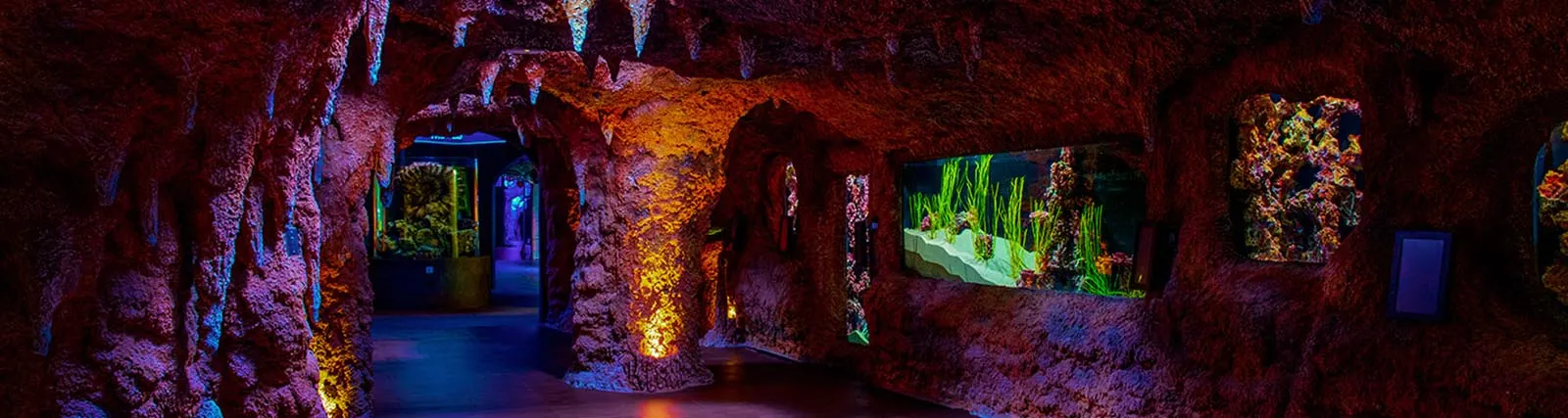 The National Aquarium Abu Dhabi1