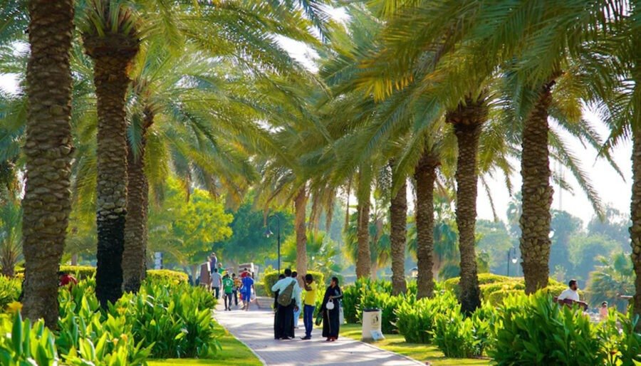 Al Safia Park – Family-Friendly Green Escape